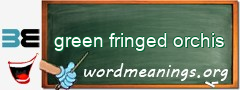 WordMeaning blackboard for green fringed orchis